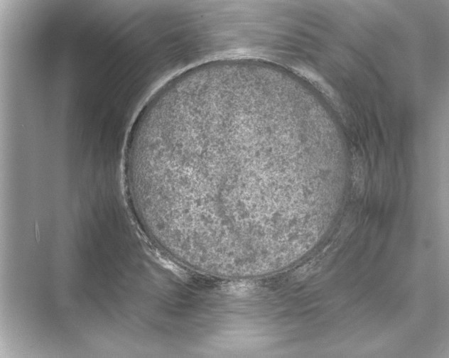 X0000072551278200608111829