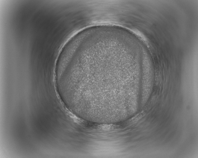 X0000072551279200608111829