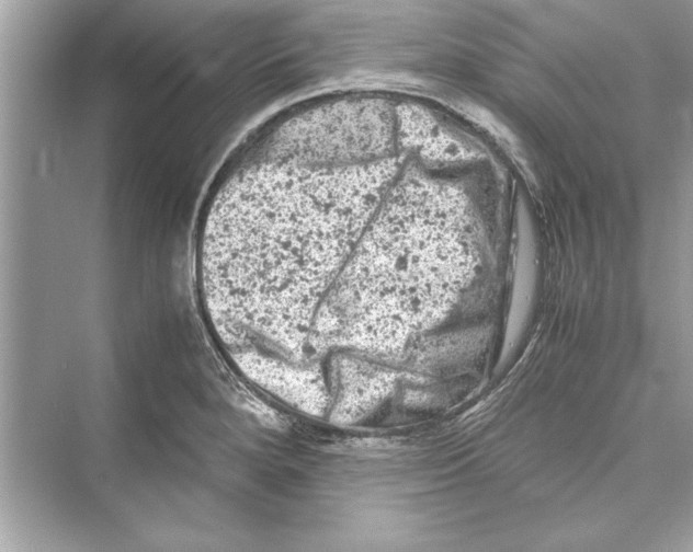 X0000072551280200608111829