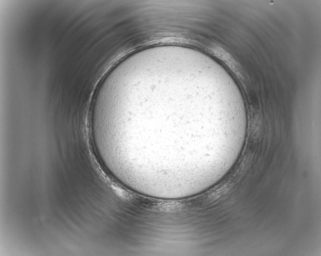 X0000072551282200608111829