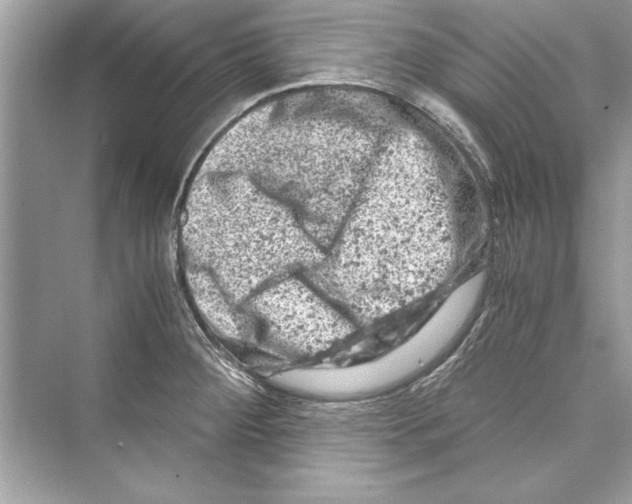 X0000072551284200608111829