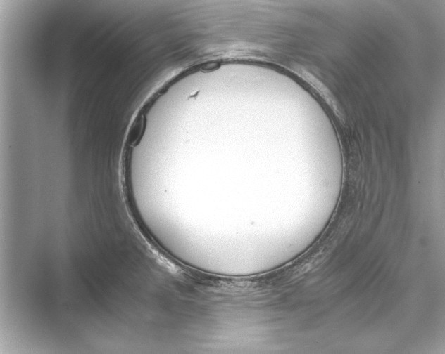 X0000072551285200608111829