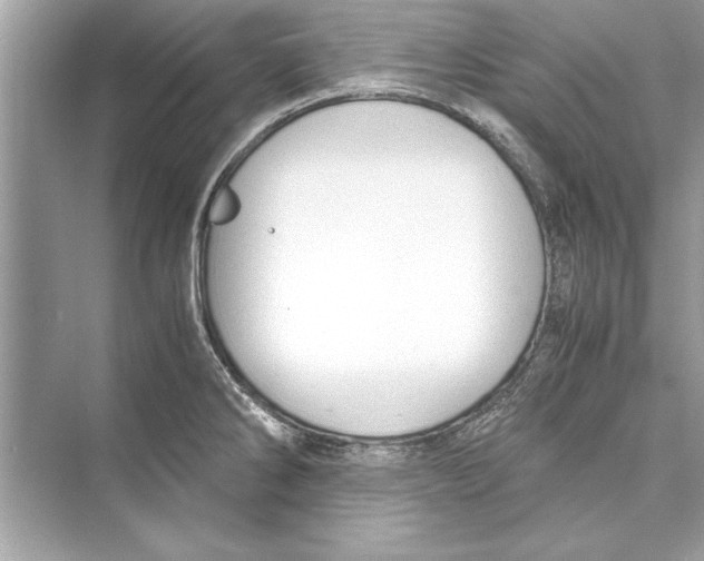 X0000072551286200608111829