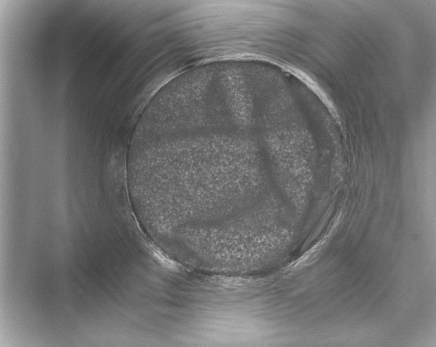 X0000072551289200608111829