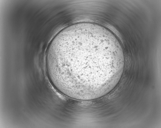 X0000072551290200608111829