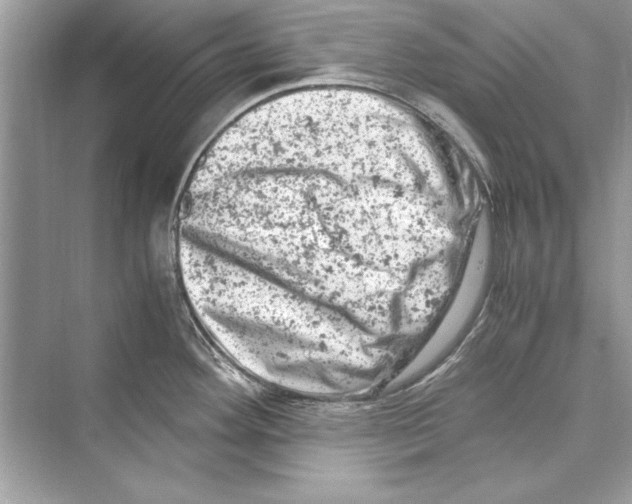 X0000072551292200608111829