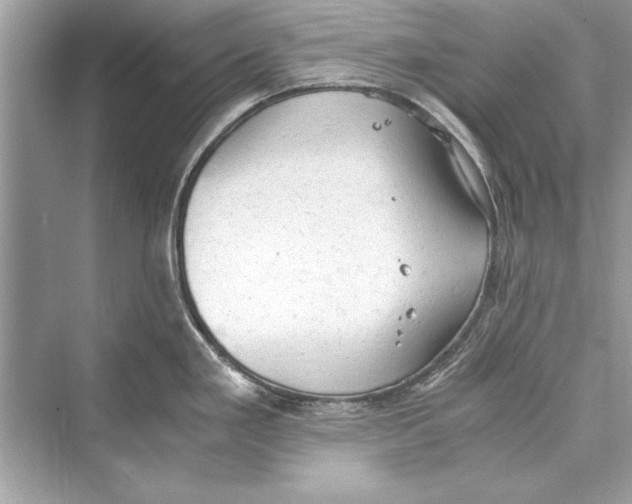 X0000072551293200608111829