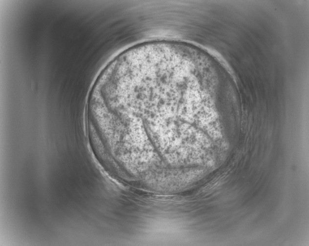 X0000072551295200608111829