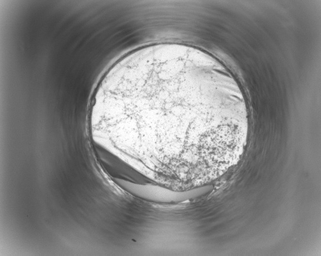 X0000072551296200608111829