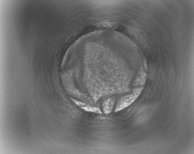 X0000072551297200608111828