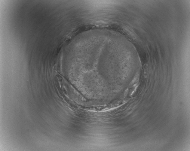 X0000072551298200608111828