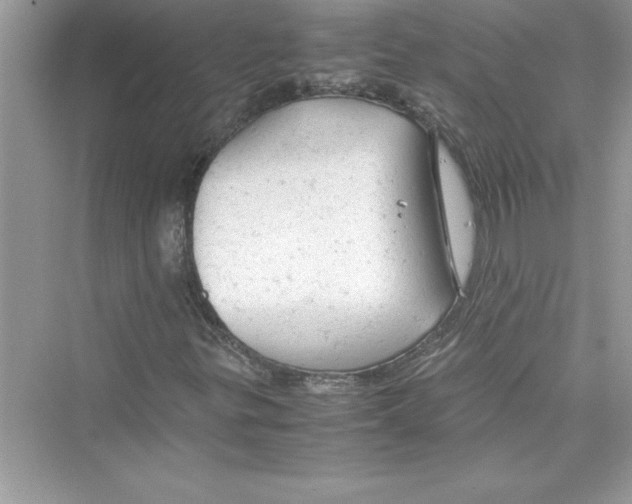 X0000072551299200608111828