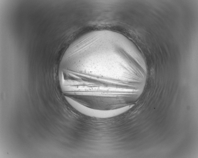 X0000072551300200608111828