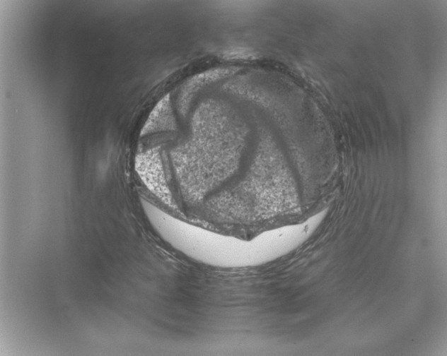 X0000072551301200608111828