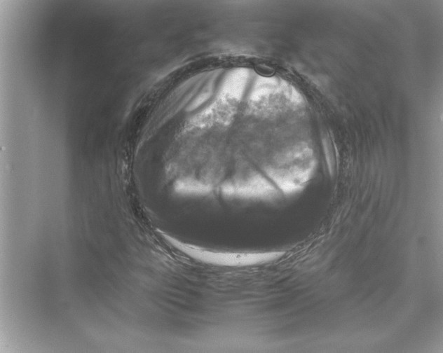 X0000072551303200608111828