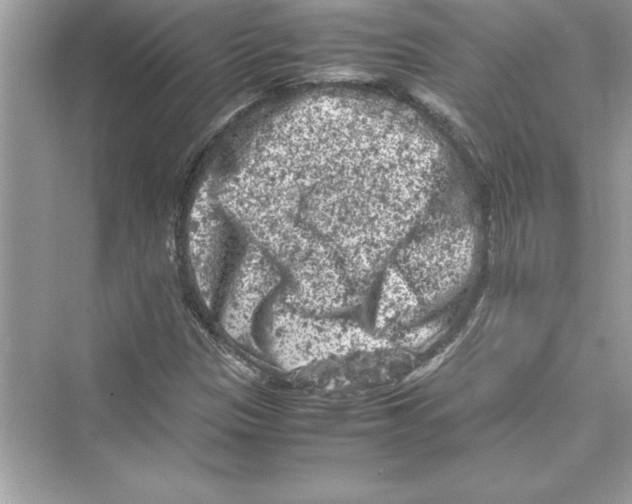 X0000072551305200608111828