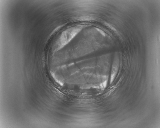 X0000072551306200608111828