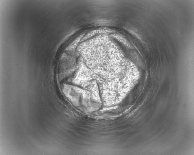 X0000072551309200608111828