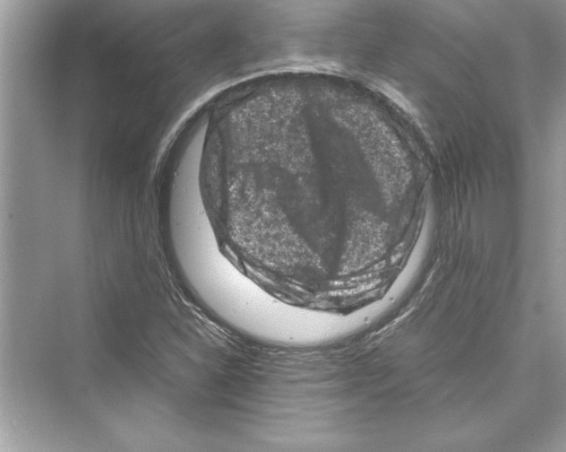 X0000072551310200608111828