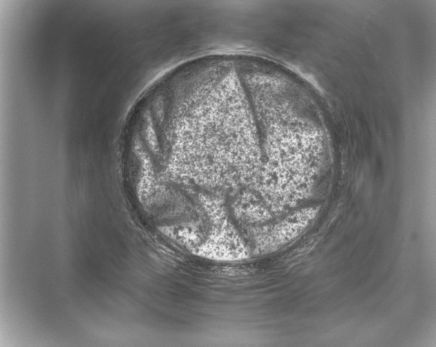 X0000072551311200608111828