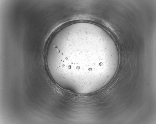 X0000072551312200608111828