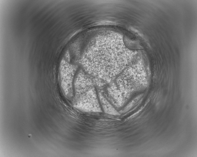 X0000072551313200608111828