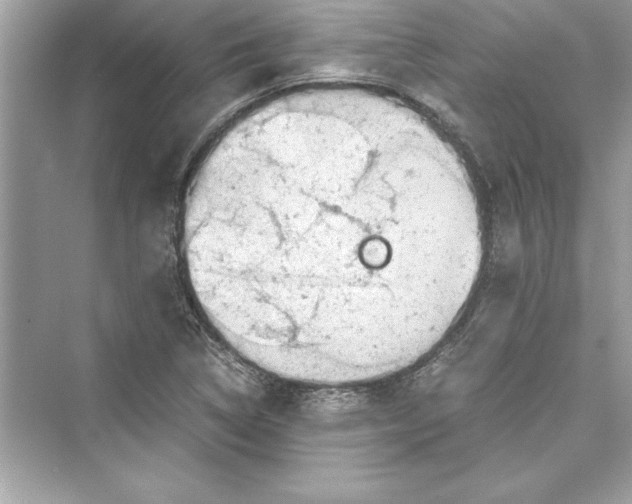 X0000072551314200608111828