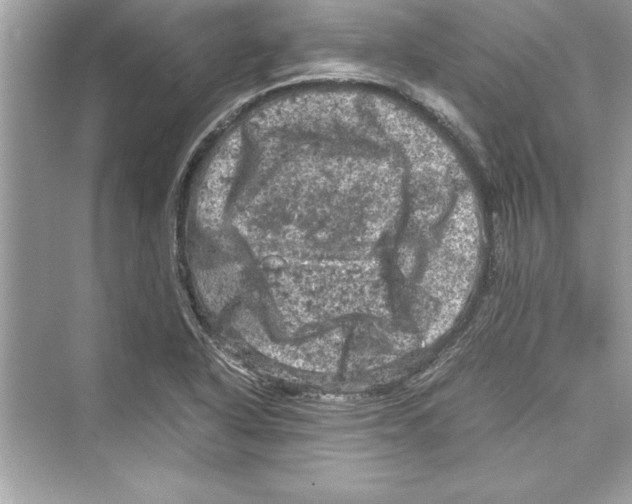 X0000072551318200608111828