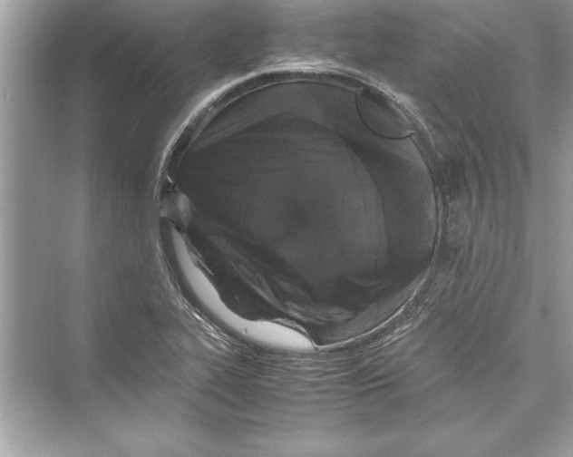 X0000072551319200608111828