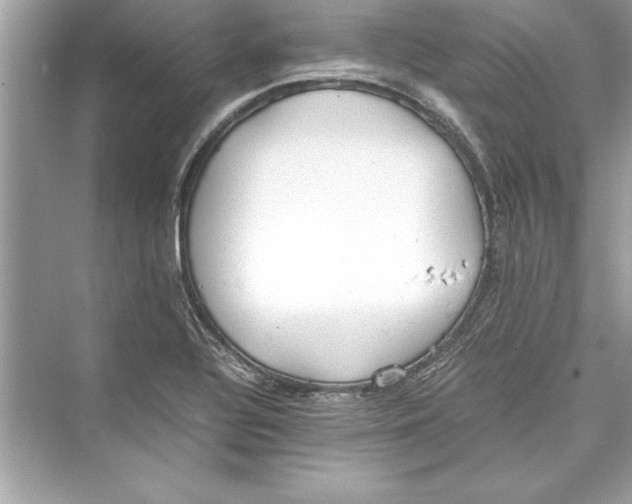 X0000072551320200608111828