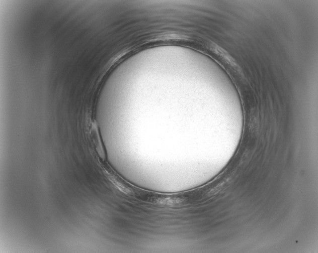 X0000072551321200608111828