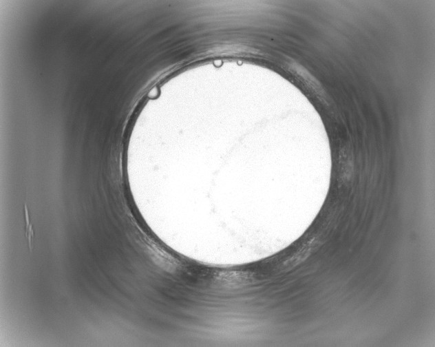 X0000072551322200608111829