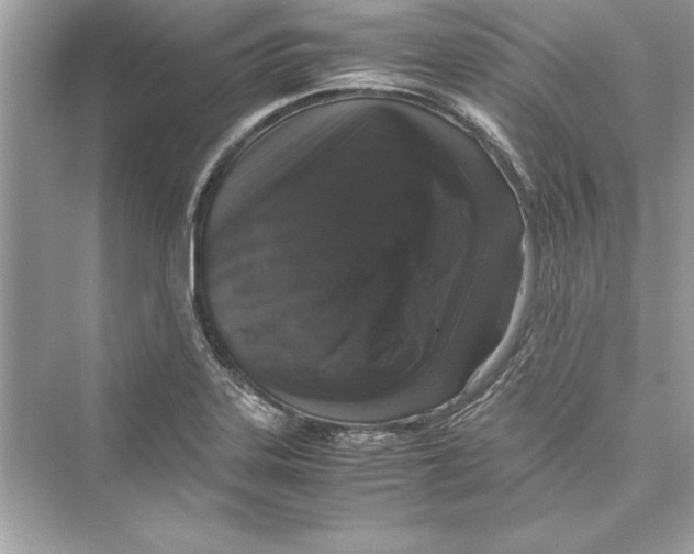 X0000072551323200608111829