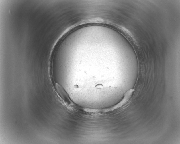 X0000072551326200608111829