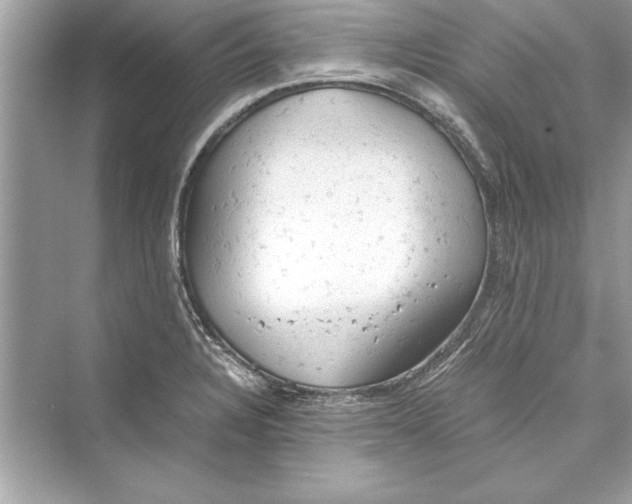 X0000072551328200608111829