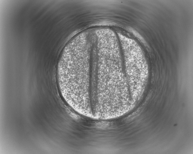 X0000072551329200608111829