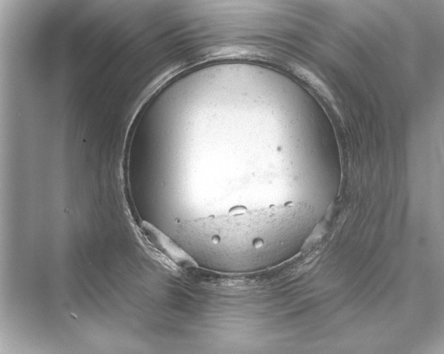 X0000072551330200608111829