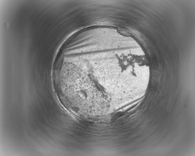 X0000072551331200608111829