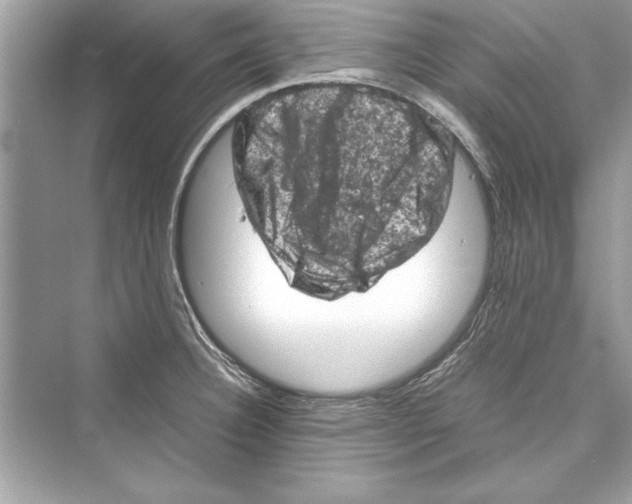 X0000072551332200608111829