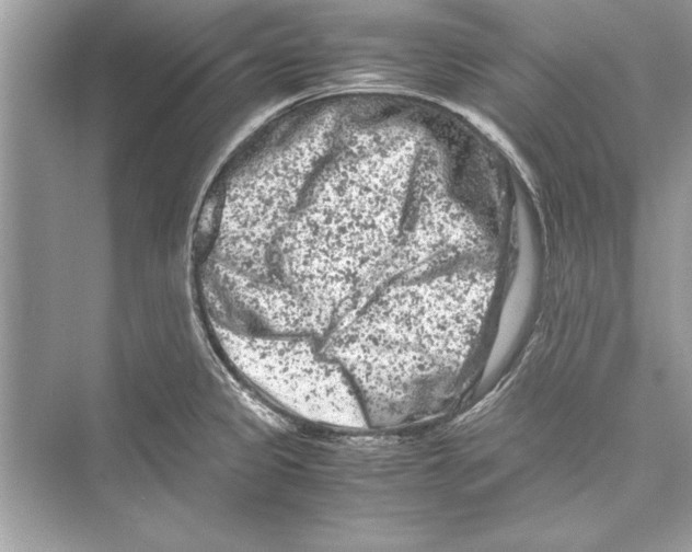 X0000072551333200608111829