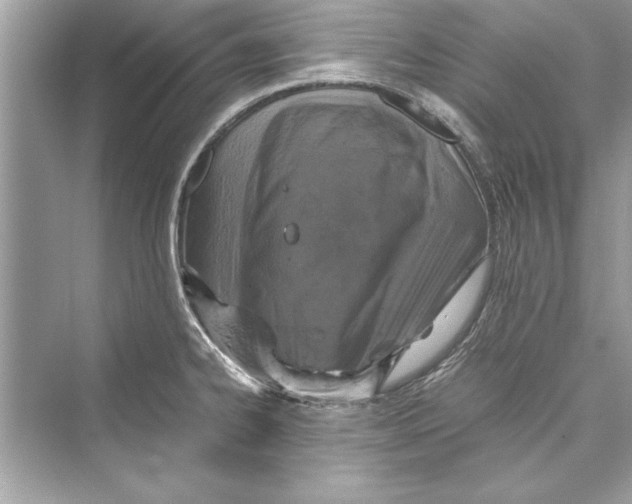 X0000072551334200608111829