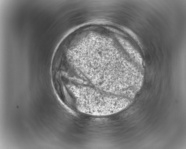 X0000072551335200608111829