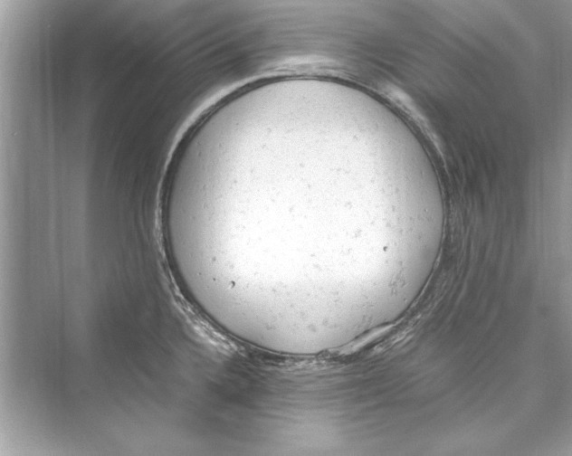 X0000072551336200608111829