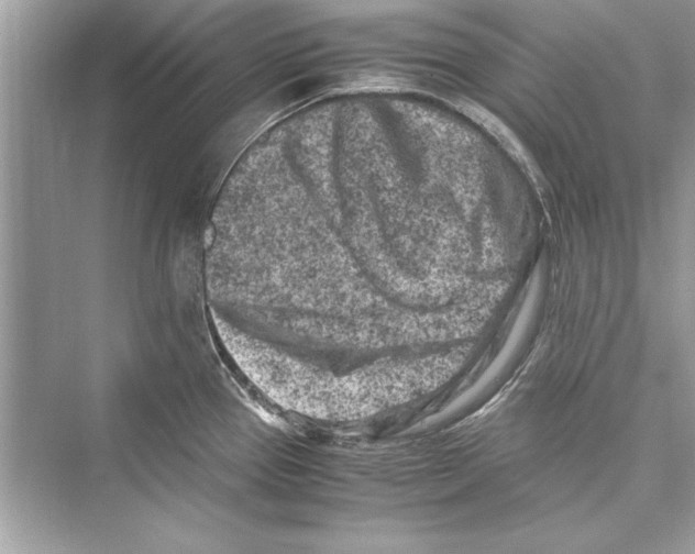 X0000072551337200608111829