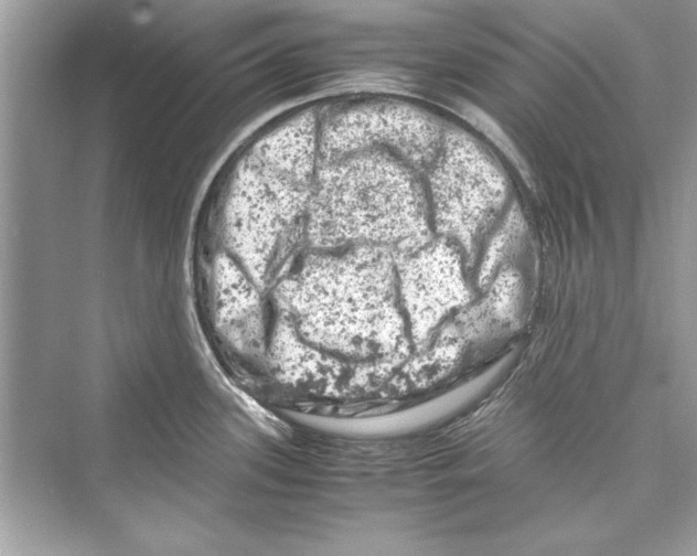 X0000072551339200608111829