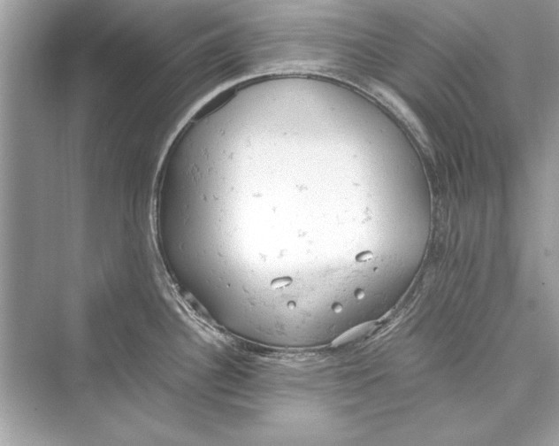 X0000072551340200608111829