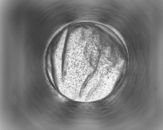 X0000072551341200608111829