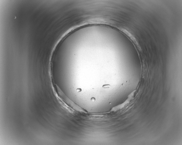 X0000072551342200608111829