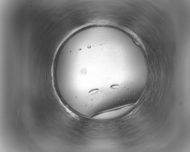 X0000072551343200608111829