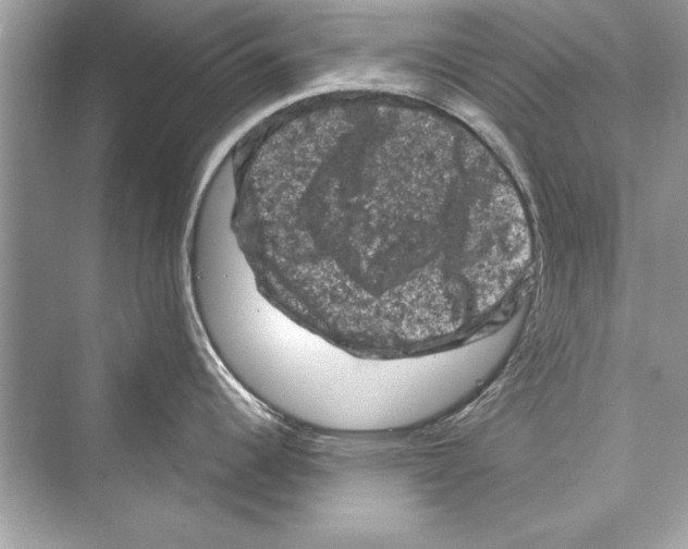 X0000072551344200608111829